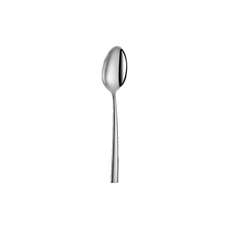 Serving Spoon 23.2cm